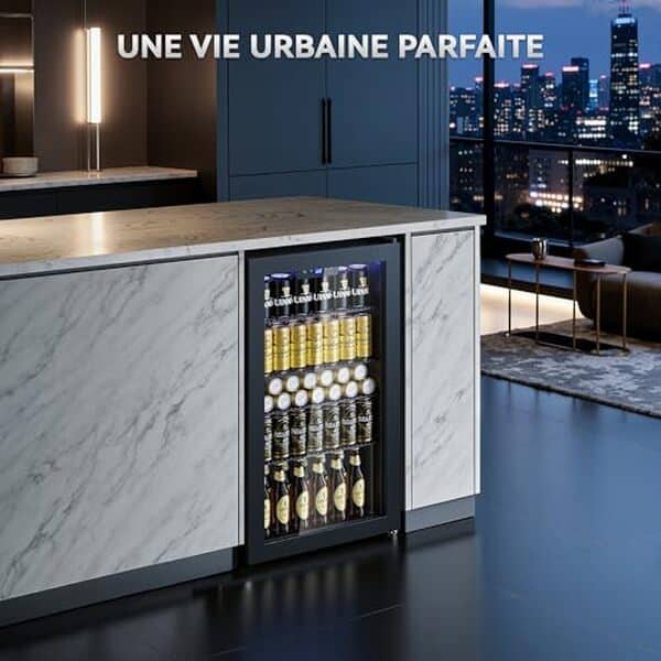 Découvrez notre test détaillé du réfrigérateur à boissons Triumphkey : capacité, performance et avis complets pour bien choisir votre appareil. 