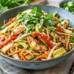 Wok nouilles chinoises poulet légumes variés